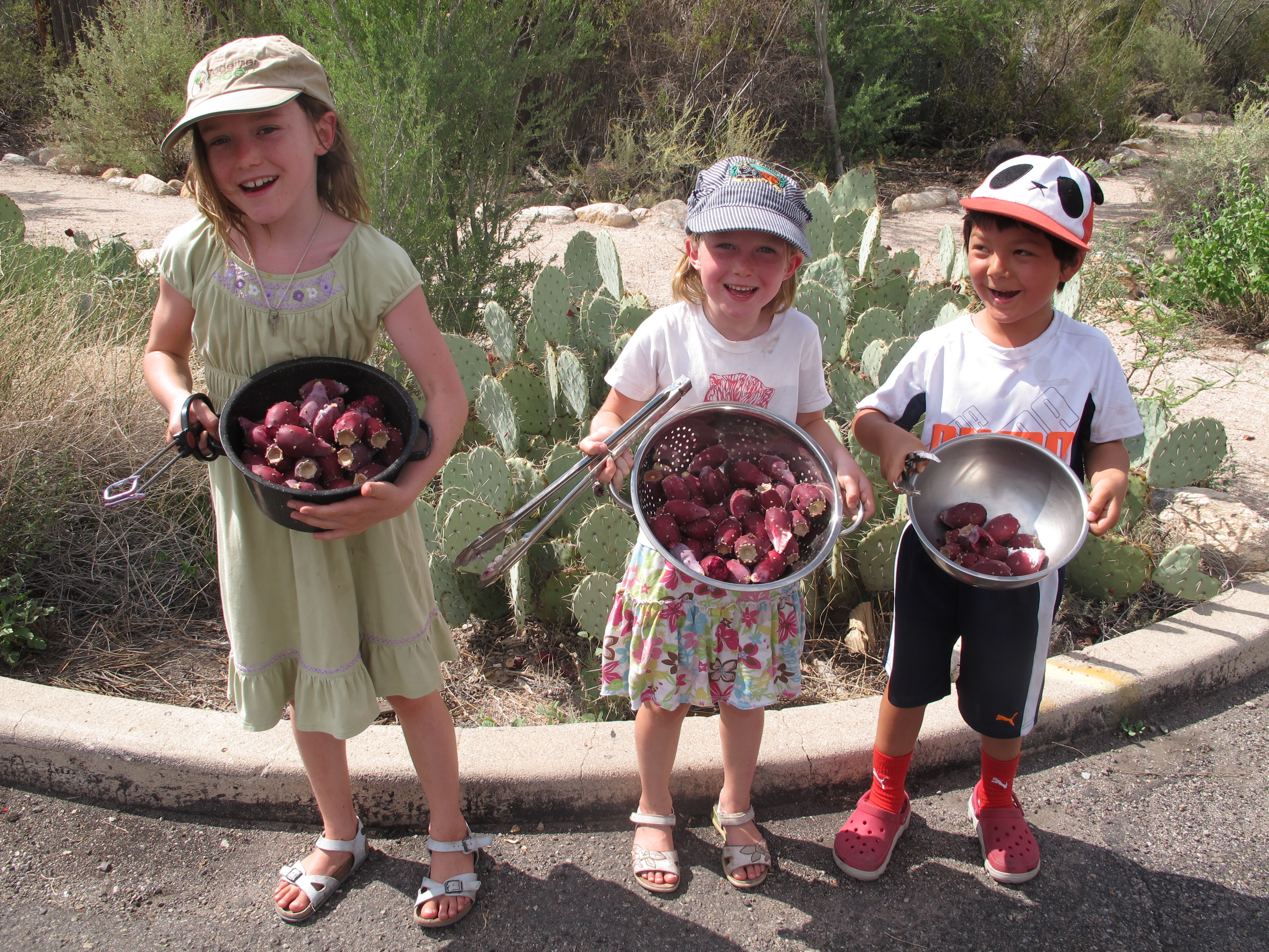 3 kids show off ripe prickly pear fruit harvest standing next to rainwater-harvesting basins with native plants